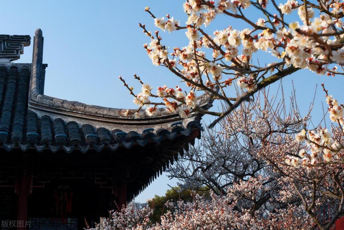 吃不愁穿不愁还得有钱去旅游