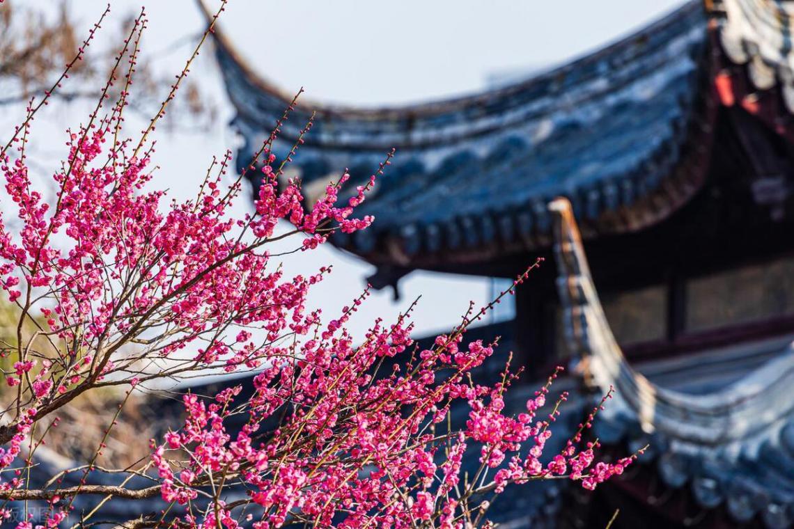 吃不愁穿不愁还得有钱去旅游