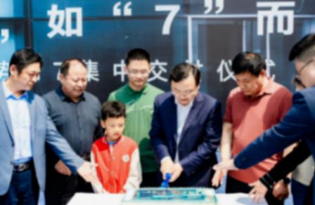 不一样工科男,比亚迪总裁王传福,打响新能源汽车降价第一枪