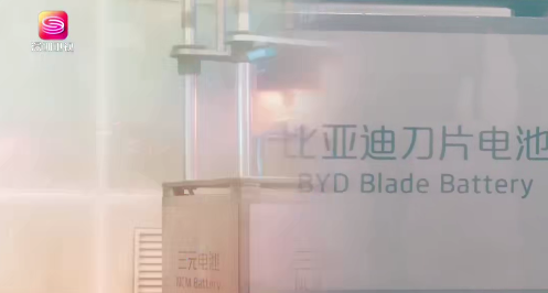 北欧企业代表团,怎样看比亚迪?