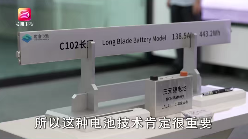 北欧企业代表团,怎样看比亚迪?