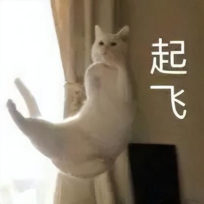 适配!微信和纯血鸿蒙这个瓜有点大