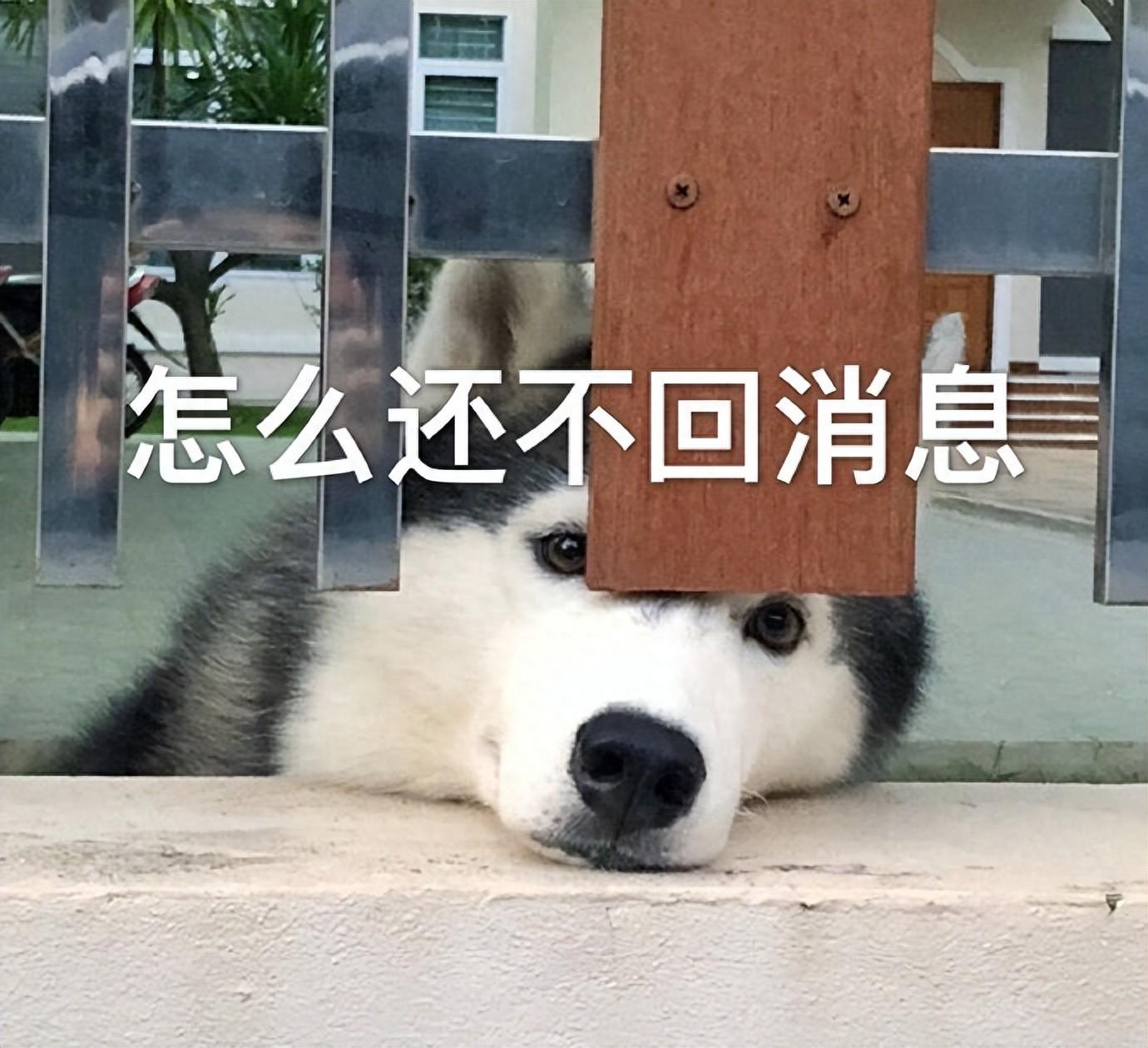 冲上热搜!微信这个功能,我劝你一定要打开